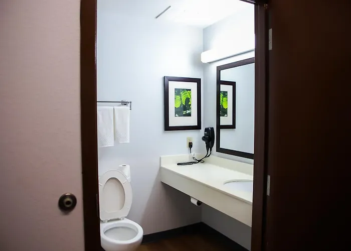 Mainstay Chicago Hotel 3*